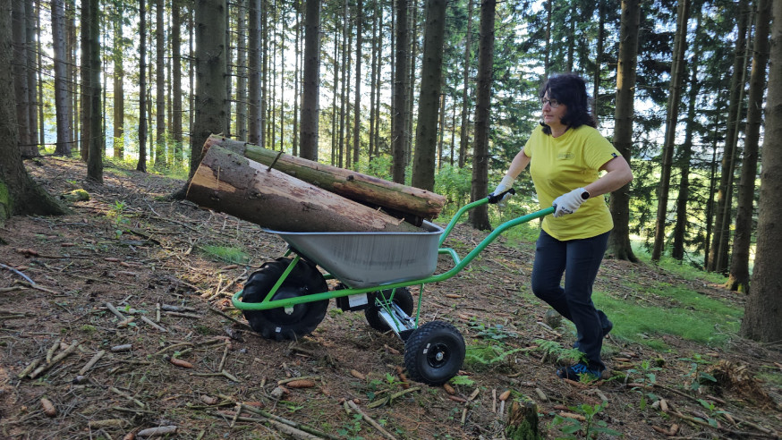 TACZKA STANDARD CLASSIC