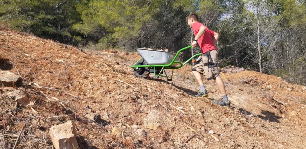 MOTOKARRE STANDARD POWER