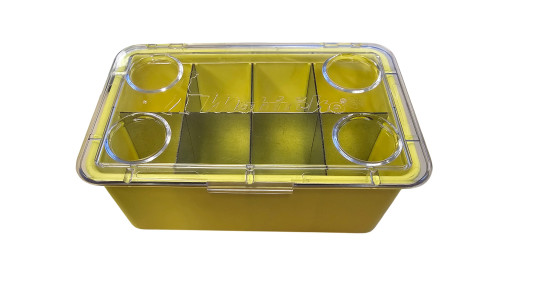 Box with compartment