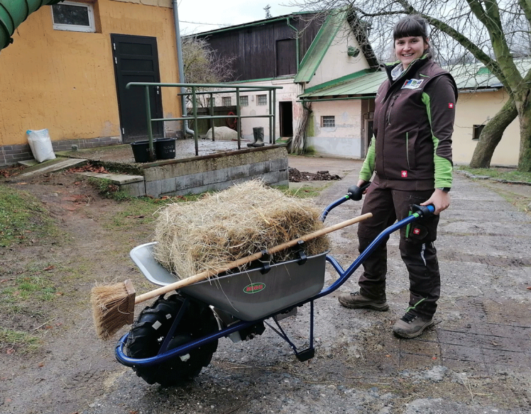 Motúčko EXTRA HERKULES - elektrické kolečko